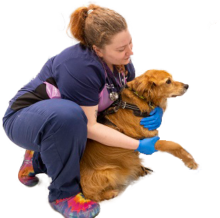 Nurse and dog