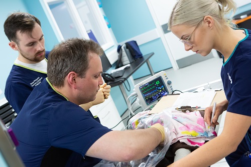 Medical professionals looking at a monitor.